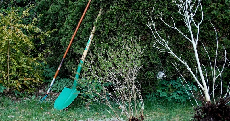 Les outils gratuits à connaître et comment les lancer